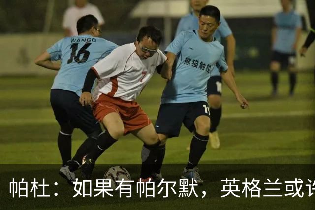 帕杜：如果有帕尔默，英格兰或许能破加纳防守